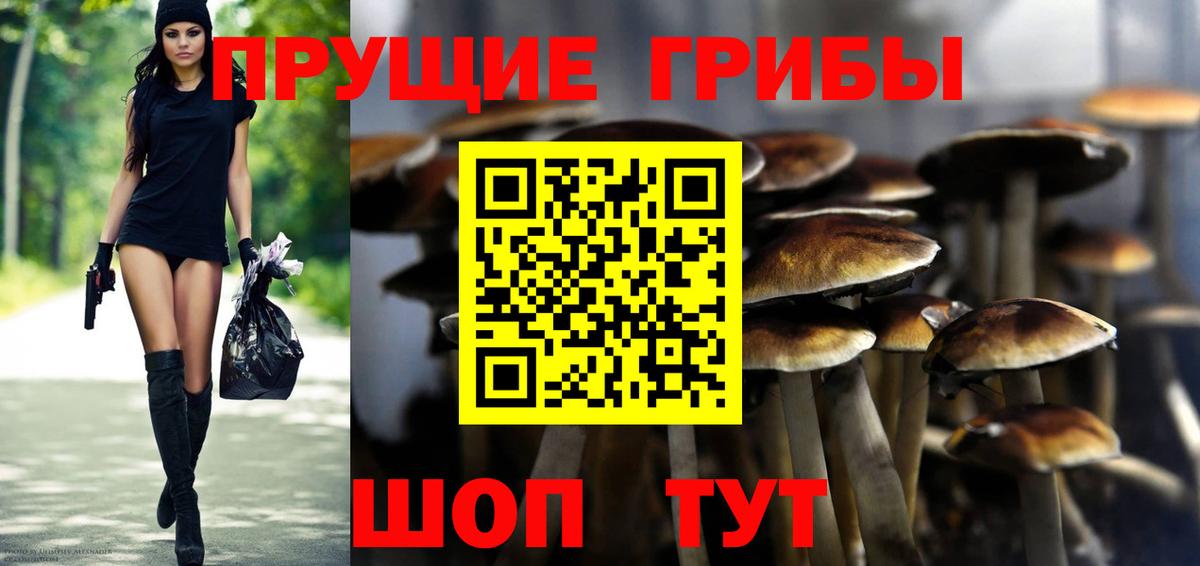 Галлюциногенные грибы Cubensis  Псилоцибиновые грибы мухоморы  Гуково  Вход с VPN 